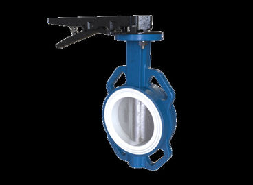Wafeltjetype de Vleugelklep Hoge Prestaties van Seat Materiële Gepaste kleur van PTFE + van FKM