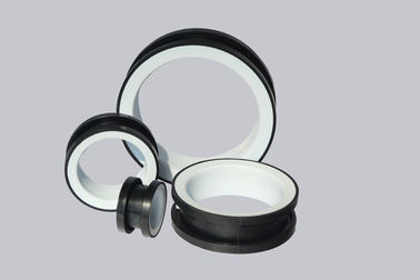 PTFE Gecombineerd EPDM-Klepseat voor AsVleugelklep 2 '' - 24 '' Grootte
